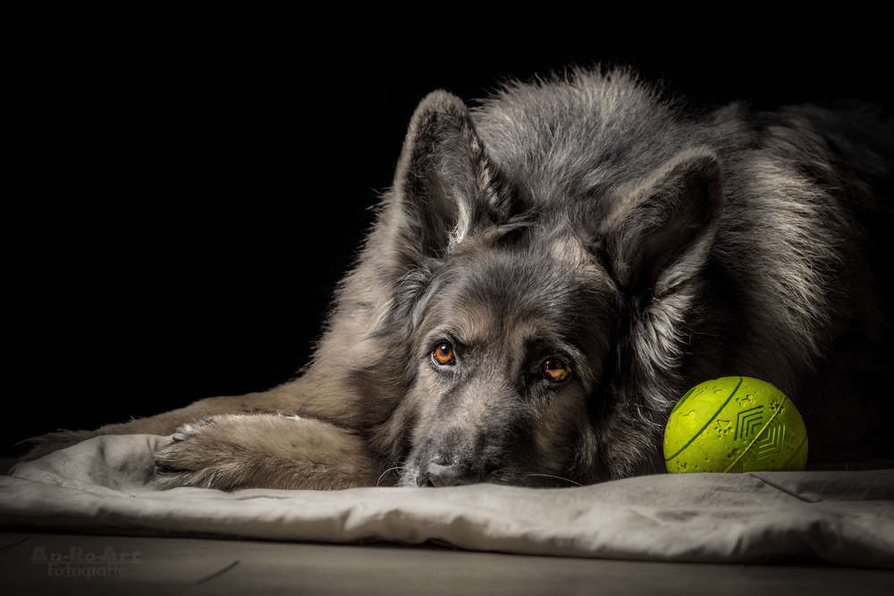 An-Ro-Art Fotografie