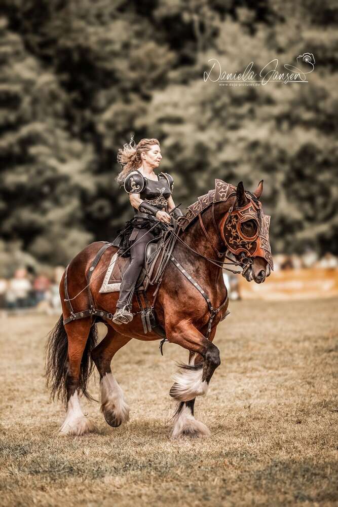 Tierfotografie daja-pictures