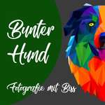 Bunter Hund- Fotografie mit Biss
