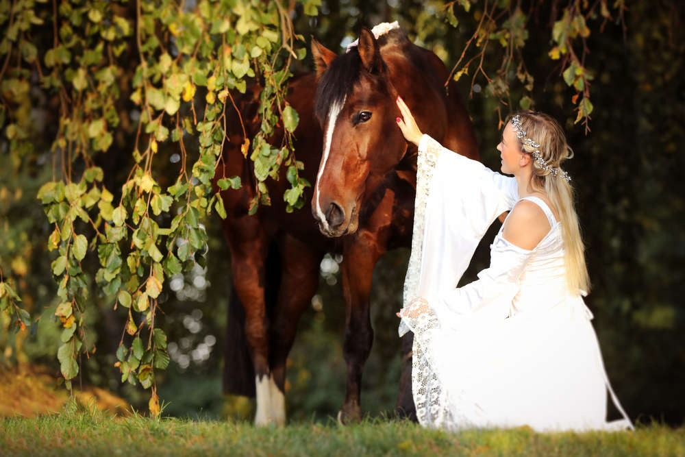 Fascination in Picture