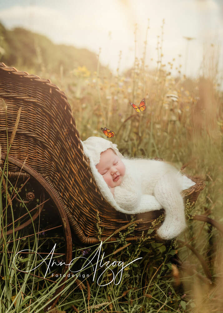sommerbaby (Ann Alzog Fotodesign)