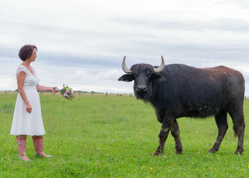 Fotografie (Fotografie)