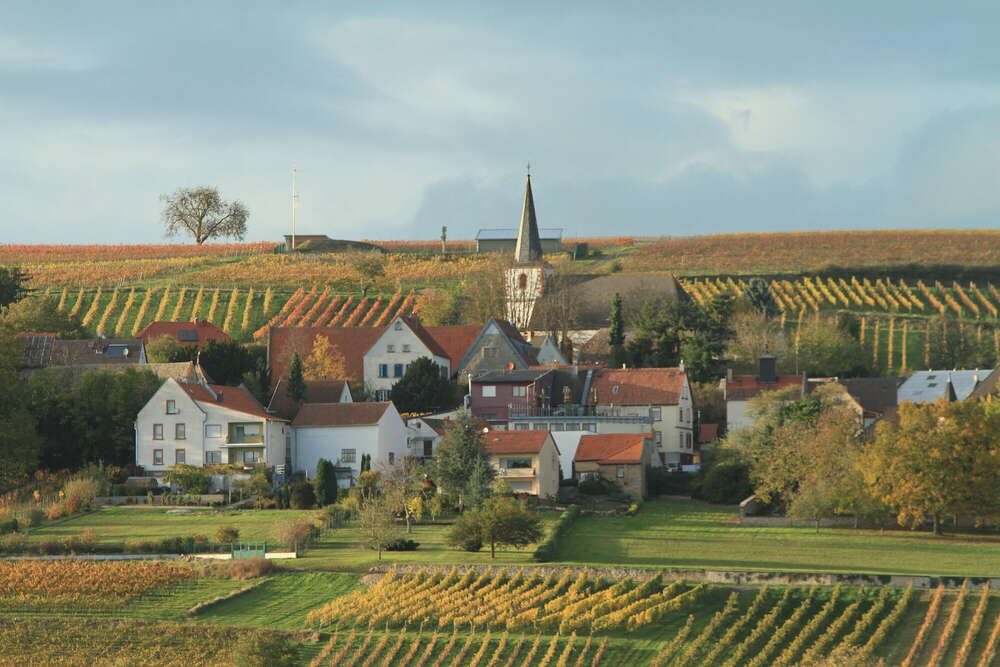 Stille am Hang (Foto Dinger)