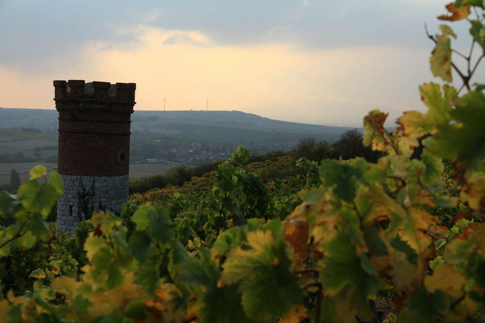 Was folgt (Foto Dinger)