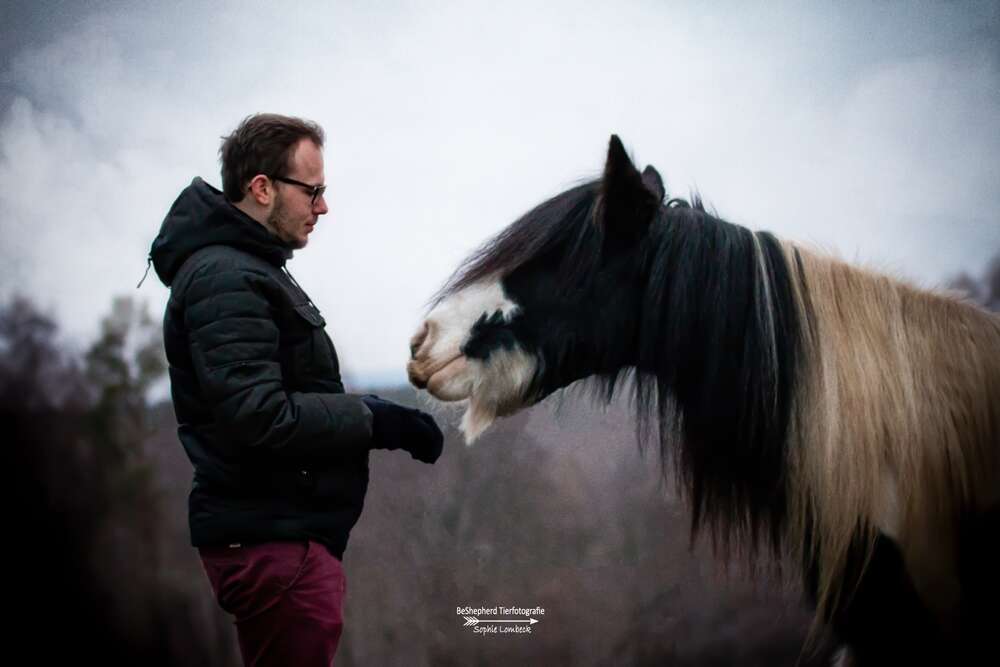 BeShepherd Fotografie