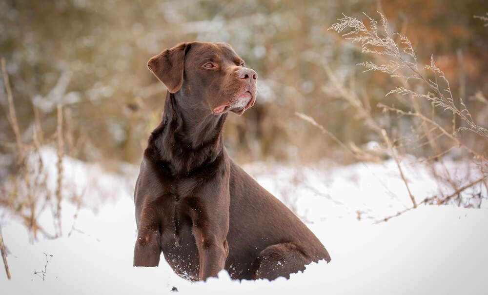 Sandra Schmidbaur Fotografie