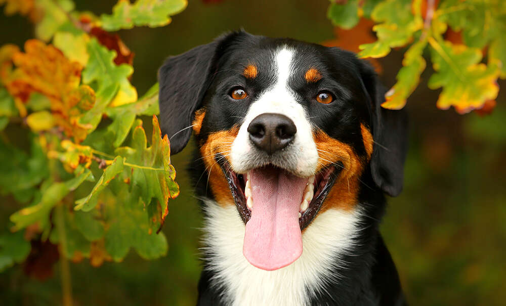 Sandra Schmidbaur Fotografie