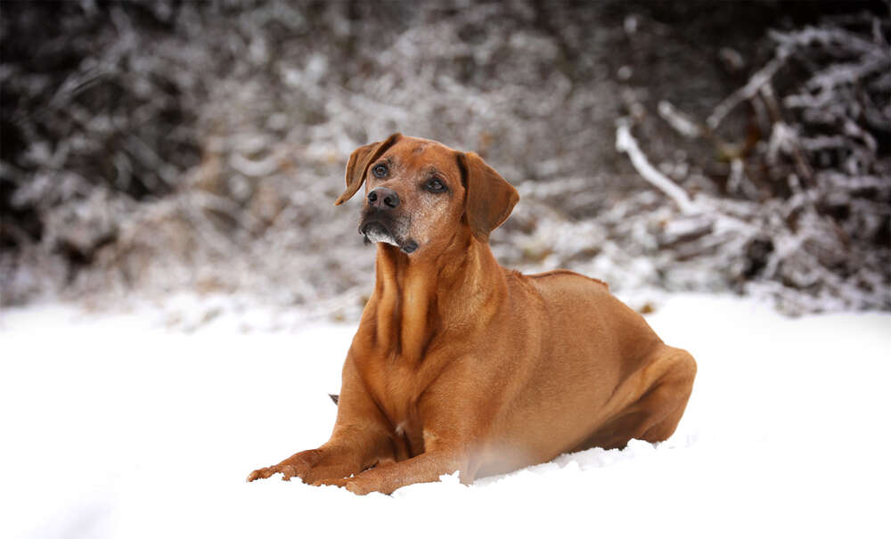Sandra Schmidbaur Fotografie