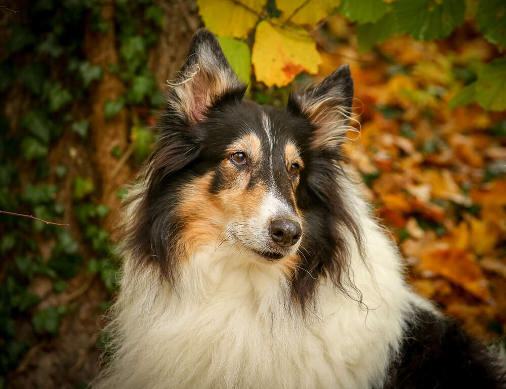 Sandra Schmidbaur Fotografie