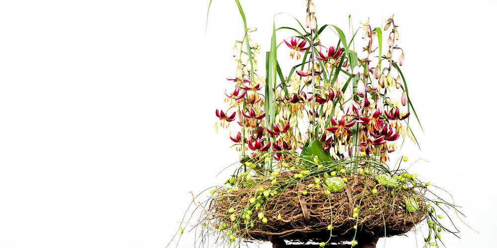 Produktfotografie  (Franziska Nehmer)