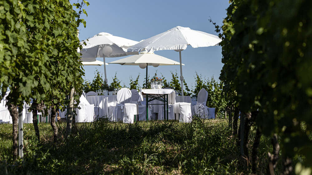 Heyer & Lange Fotografie