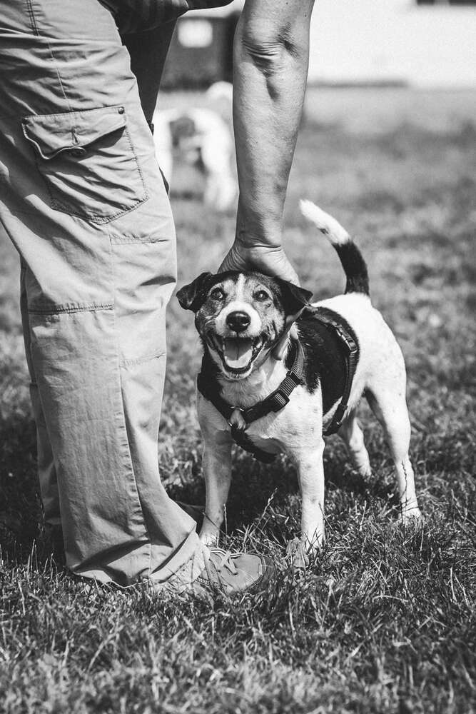 Ilona Schröder Fotografie