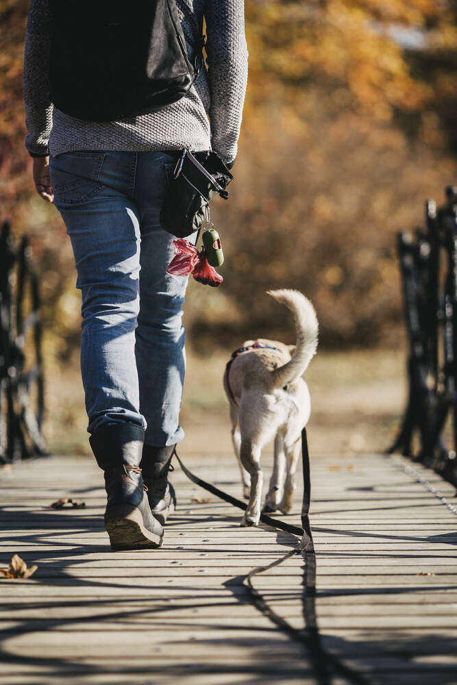 Mensch-Hund-Team (Ilona Schröder Fotografie)