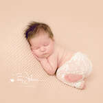 Birte Wührmann Fotografie