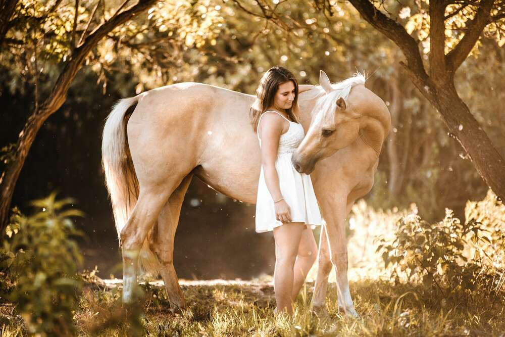 Lichtliebe Fotostudio Volksdorf