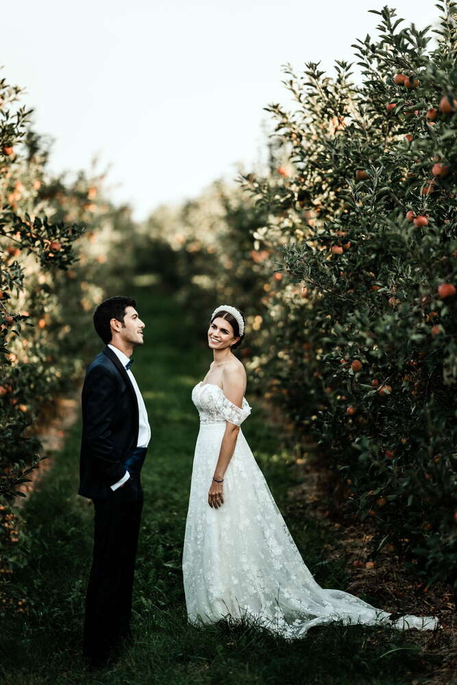 Viktorfoto (Viktorfoto)