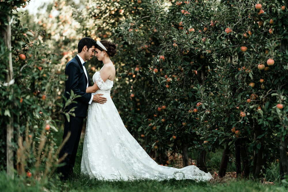 Viktorfoto (Viktorfoto)