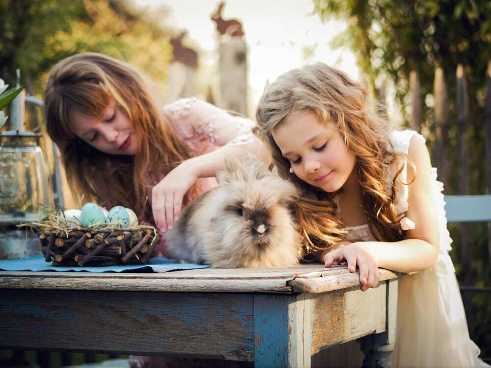 Annette Hofmann Fotografie (Annette Hofmann Fotografie)