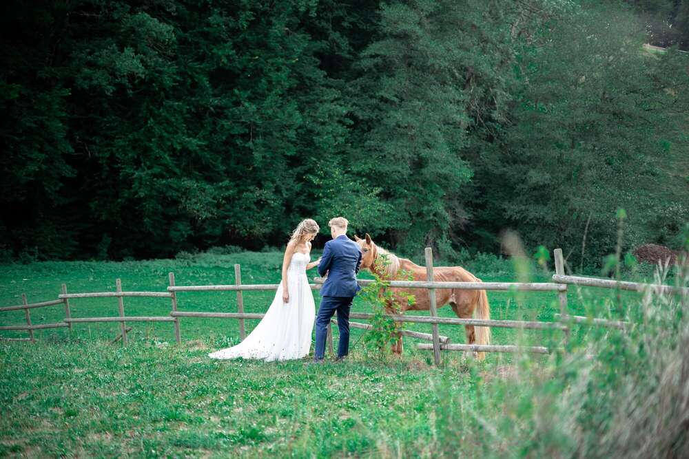 Fidelity Pictures (Fidelity Pictures)