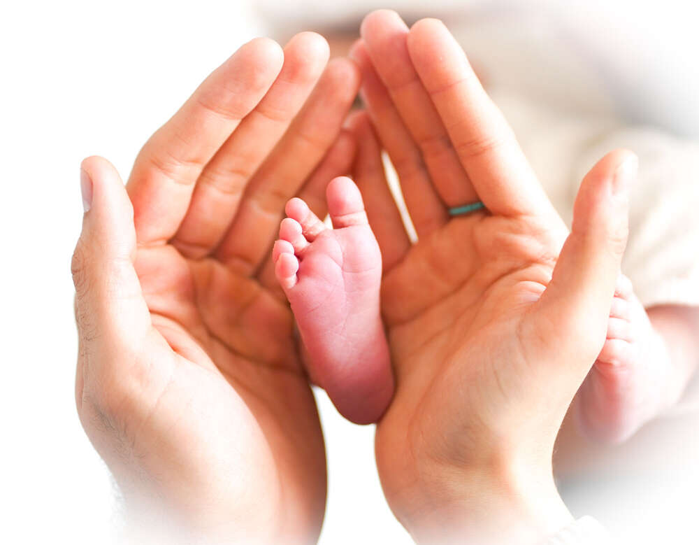 Fidelity Pictures (Fidelity Pictures)