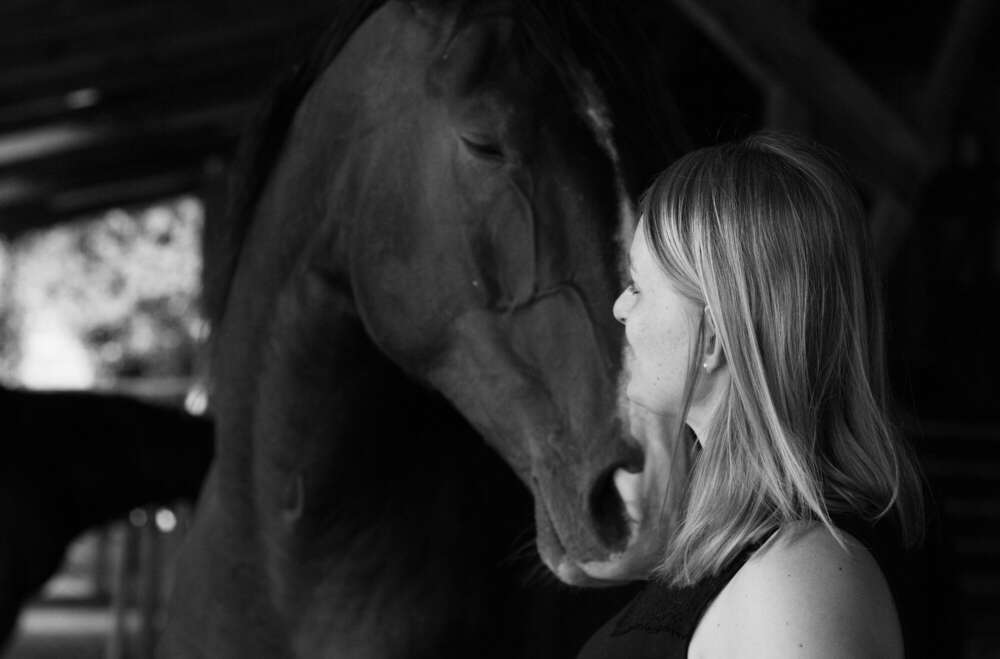 Hinwendung (Katina von Werthern)