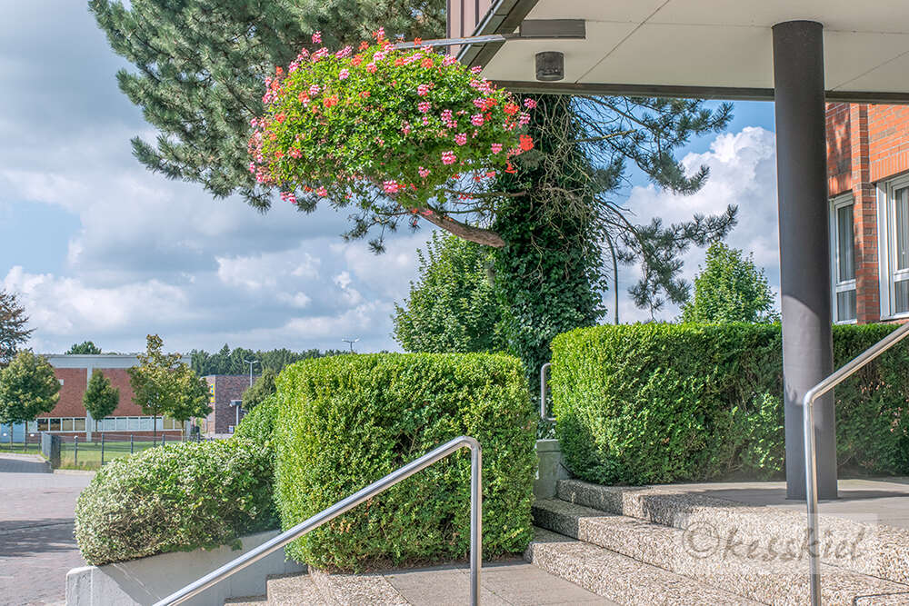 Fotojournalistin Petra Keßler, Kiel